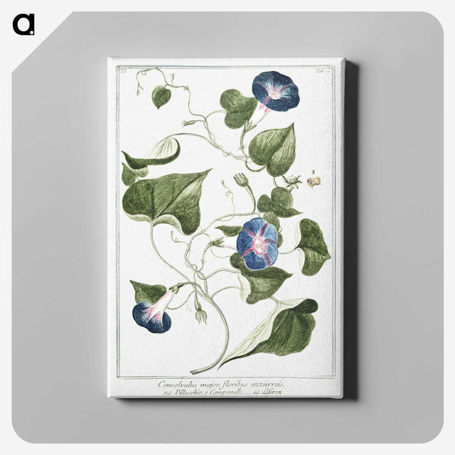 1-19_Hortus-Romanus-Botanical-Plates_canvas