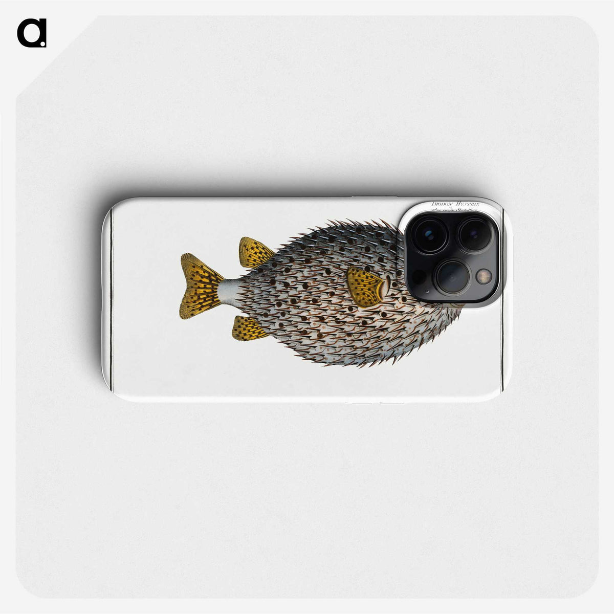 1-19_Ichtyologie-ou-Histoire-naturelle_phone