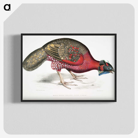 1-19_Indian-Zoology_blk-crop