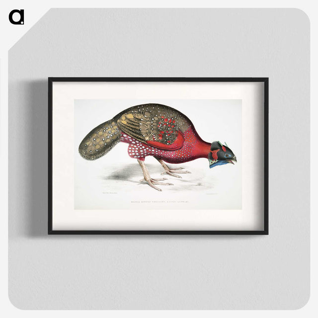 1-19_Indian-Zoology_blk