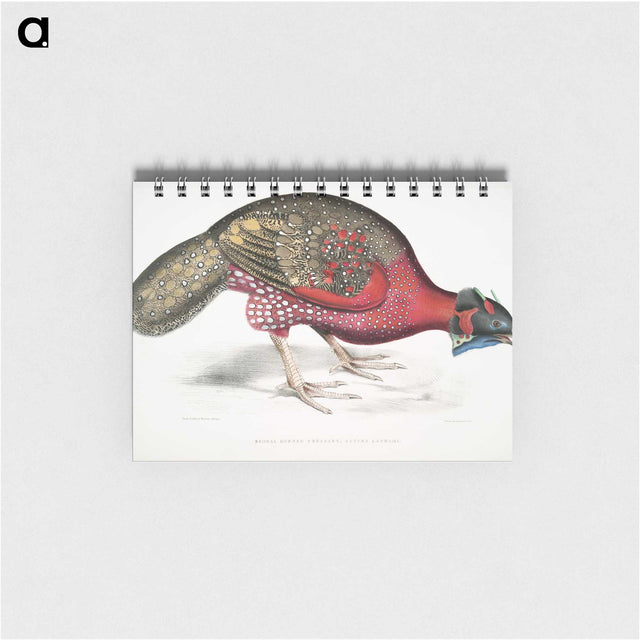 1-19_Indian-Zoology_memo