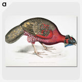 1-19_Indian-Zoology_picture-crop