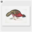 1-19_Indian-Zoology_picture