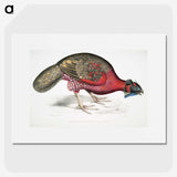 1-19_Indian-Zoology_picture
