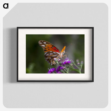 1-19_Insects-Unlocked-Project_blk