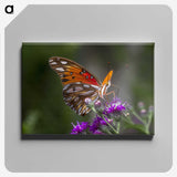 1-19_Insects-Unlocked-Project_canvas