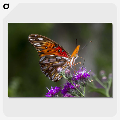 1-19_Insects-Unlocked-Project_picture-crop