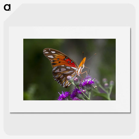 1-19_Insects-Unlocked-Project_picture