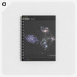 1-19_James-Webb-Space-Telescope_memo