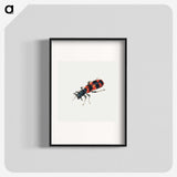 1-19_Jan-Van-Kessel_blk