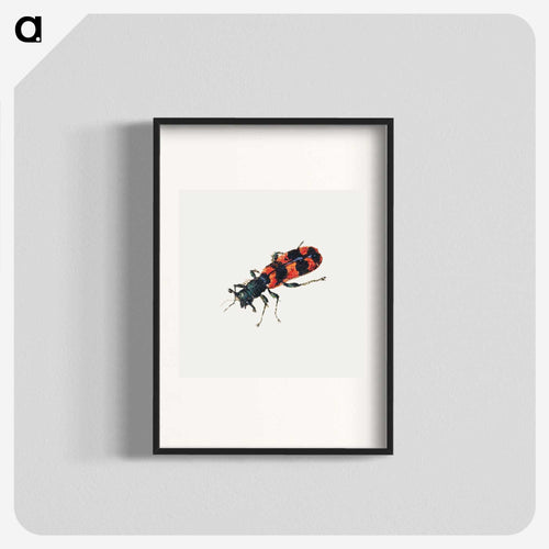 Insect from Sheet of Studies of Nine Insects
 - ヤン ファン ケッセル Poster.