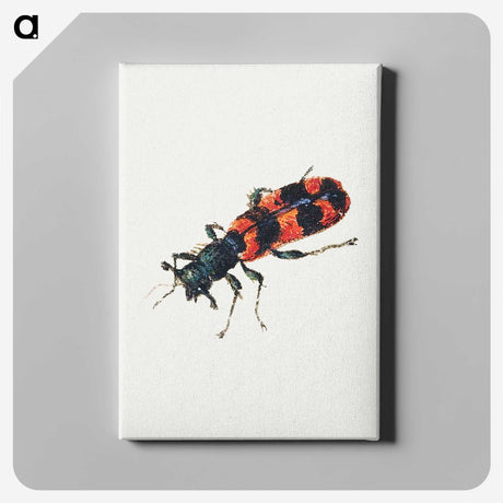 1-19_Jan-Van-Kessel_canvas