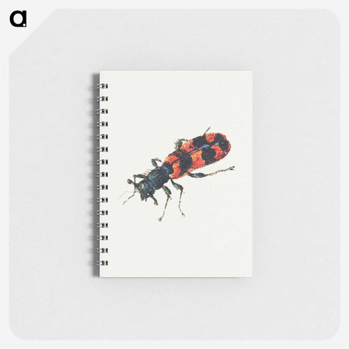 Insect from Sheet of Studies of Nine Insects
 - ヤン ファン ケッセル Memo.