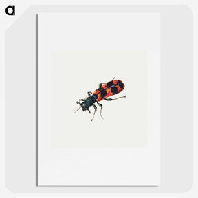 1-19_Jan-Van-Kessel_picture