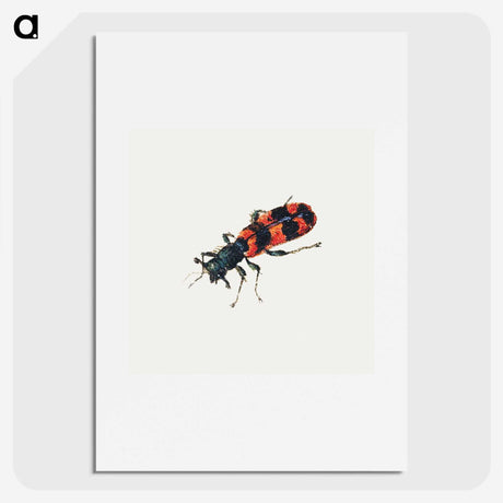 1-19_Jan-Van-Kessel_picture