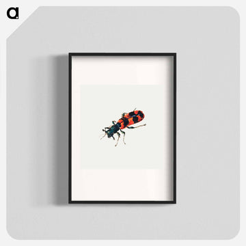 Insect from Sheet of Studies of Nine Insects
 - ヤン ファン ケッセル Poster.