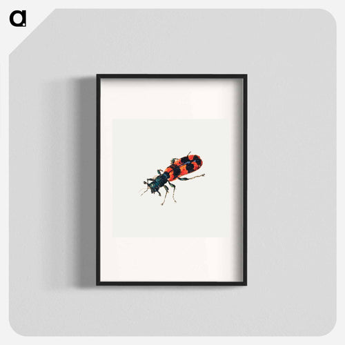 Insect from Sheet of Studies of Nine Insects
 - ヤン ファン ケッセル Poster.