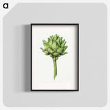 Artichoke - Jean Bernard Poster.