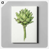 アートパネル-Artichoke - ジャン ベルナール Canvas.