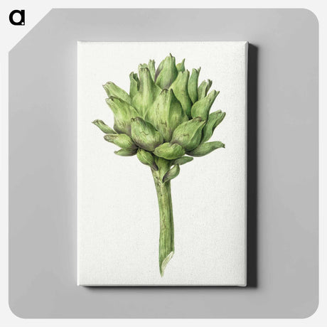 アートパネル-Artichoke - ジャン ベルナール Canvas.