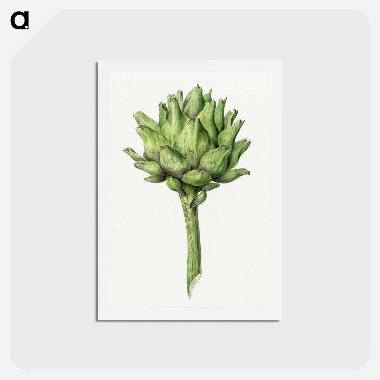 アートポストカード-Artichoke - ジャン ベルナール Postcard.