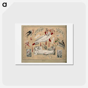 アートポストカード-Victorian Blood Book
 - ジョン ビングリー ガーランド Postcard.