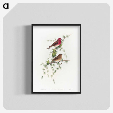 1-19_John-Gould_blk-crop