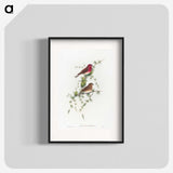 1-19_John-Gould_blk