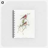 1-19_John-Gould_memo