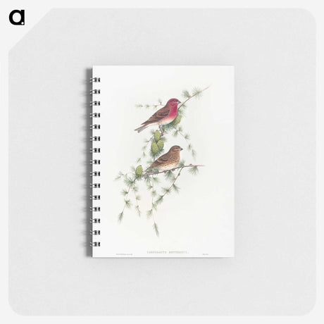 1-19_John-Gould_memo