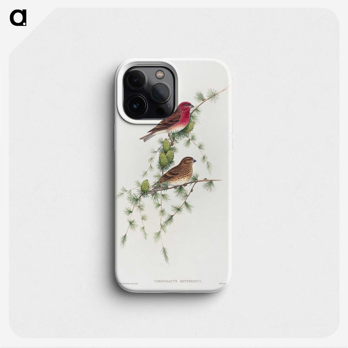 1-19_John-Gould_phone