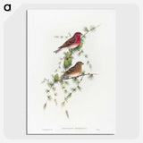 1-19_John-Gould_picture-crop