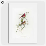 1-19_John-Gould_picture