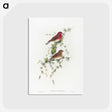 1-19_John-Gould_postcard