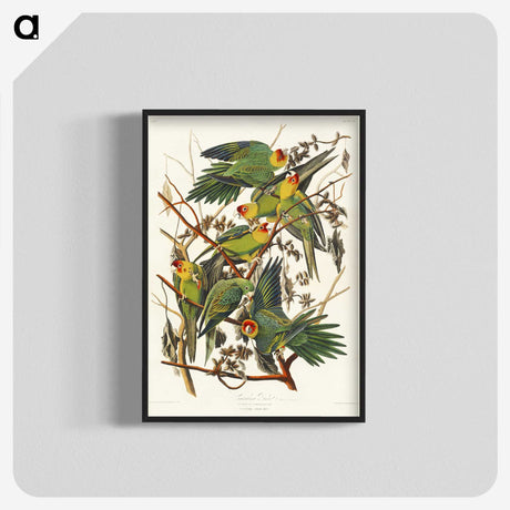 1-19_John-James-Audubon_blk-crop