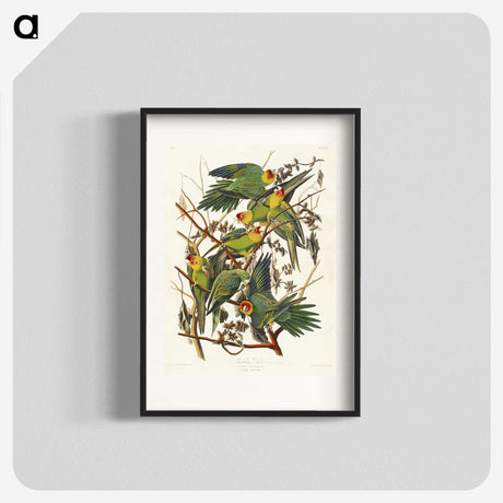 1-19_John-James-Audubon_blk