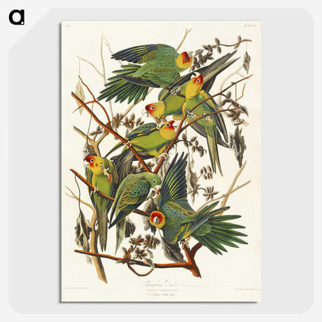 1-19_John-James-Audubon_picture-crop