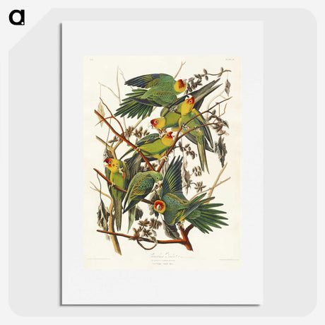 1-19_John-James-Audubon_picture