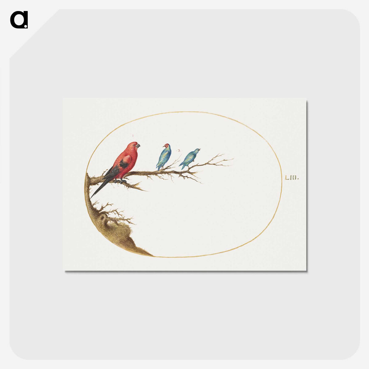 1-19_Joris-Hoefnagel_postcard
