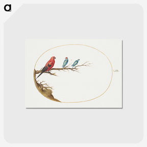 1-19_Joris-Hoefnagel_postcard
