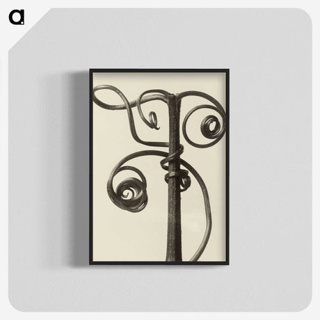 1-19_Karl-Blossfeldt_blk-crop