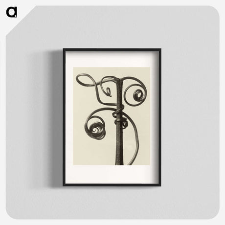 1-19_Karl-Blossfeldt_blk