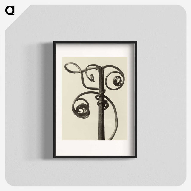 1-19_Karl-Blossfeldt_blk