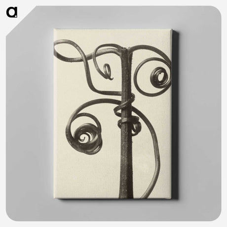 1-19_Karl-Blossfeldt_canvas
