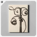 Cucurbita - Karl Blossfeldt Canvas.