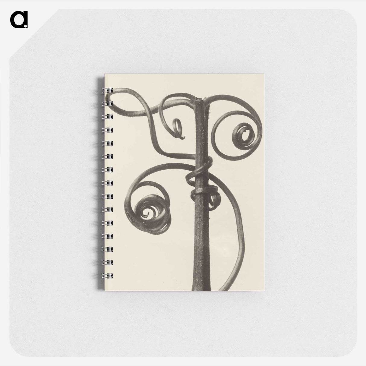 1-19_Karl-Blossfeldt_memo