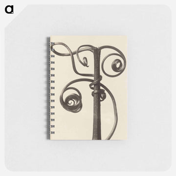 Cucurbita - カール ブロスフェルト Memo.