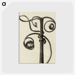1-19_Karl-Blossfeldt_postcard
