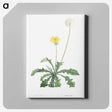 1-19_La-Botanique_canvas