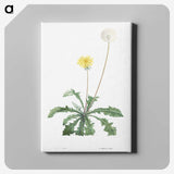 1-19_La-Botanique_canvas